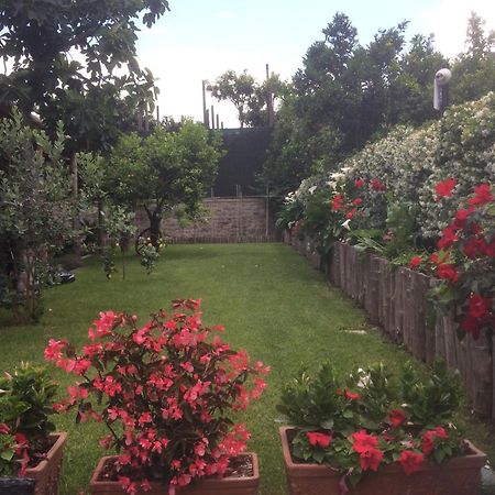 Bed and Breakfast Giardino Sorrentino Exterior foto